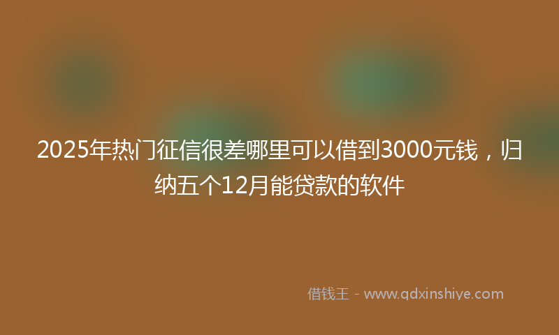 2025年热门征信很差哪里可以借到3000元钱，归纳五个12月能贷款的软件