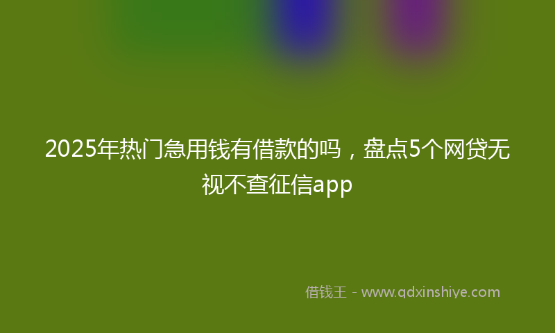 2025年热门急用钱有借款的吗，盘点5个网贷无视不查征信app