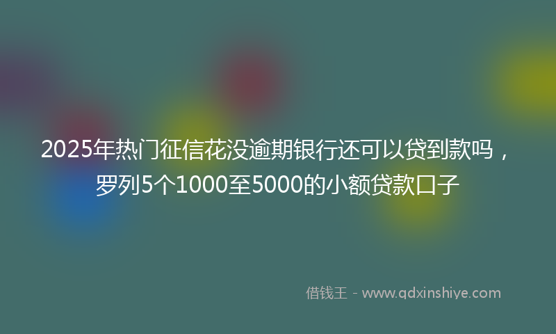 2025年热门征信花没逾期银行还可以贷到款吗，罗列5个1000至5000的小额贷款口子