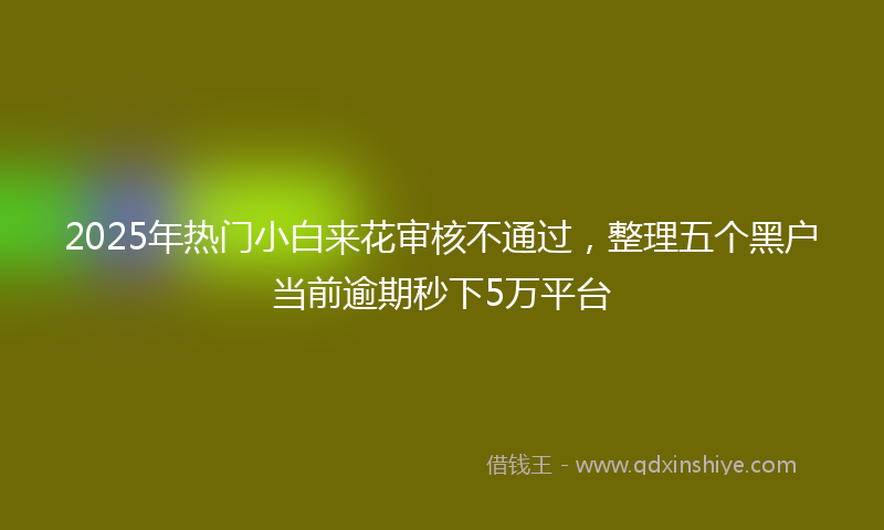 2025年热门小白来花审核不通过，整理五个黑户当前逾期秒下5万平台