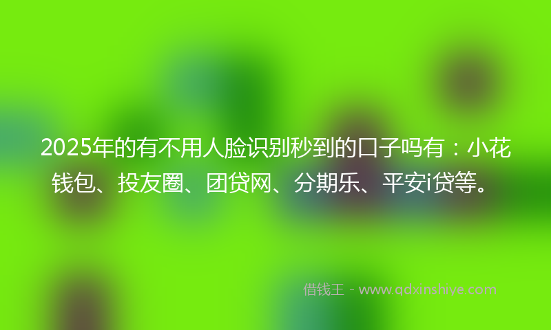 2025年的有不用人脸识别秒到的口子吗有：小花钱包、投友圈、团贷网、分期乐、平安i贷等。