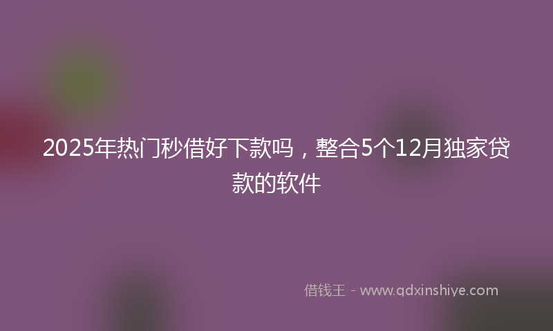 2025年热门秒借好下款吗，整合5个12月独家贷款的软件