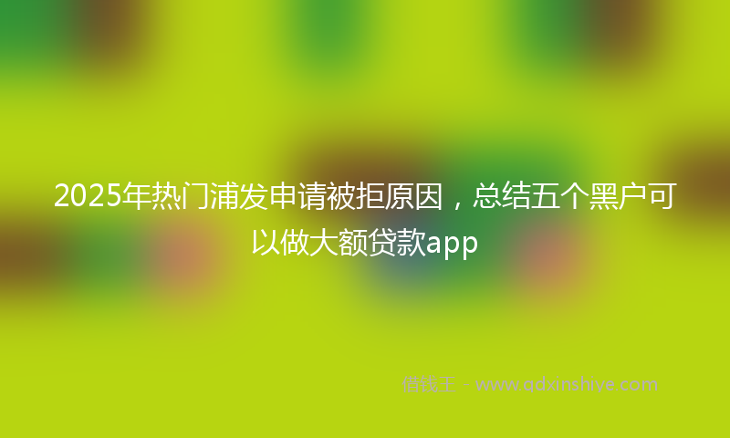 2025年热门浦发申请被拒原因，总结五个黑户可以做大额贷款app