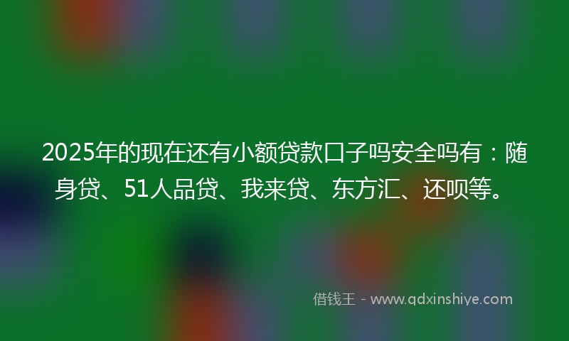 2025年的现在还有小额贷款口子吗安全吗有：随身贷、51人品贷、我来贷、东方汇、还呗等。