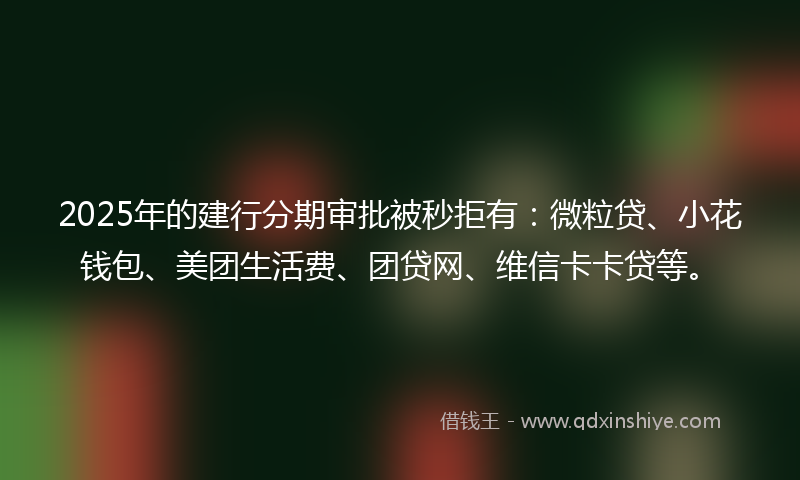 2025年的建行分期审批被秒拒有：微粒贷、小花钱包、美团生活费、团贷网、维信卡卡贷等。