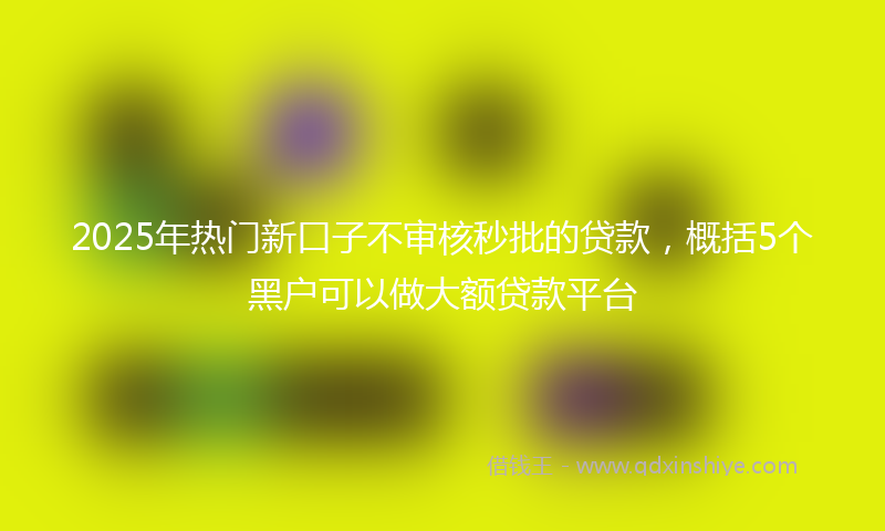 2025年热门新口子不审核秒批的贷款，概括5个黑户可以做大额贷款平台