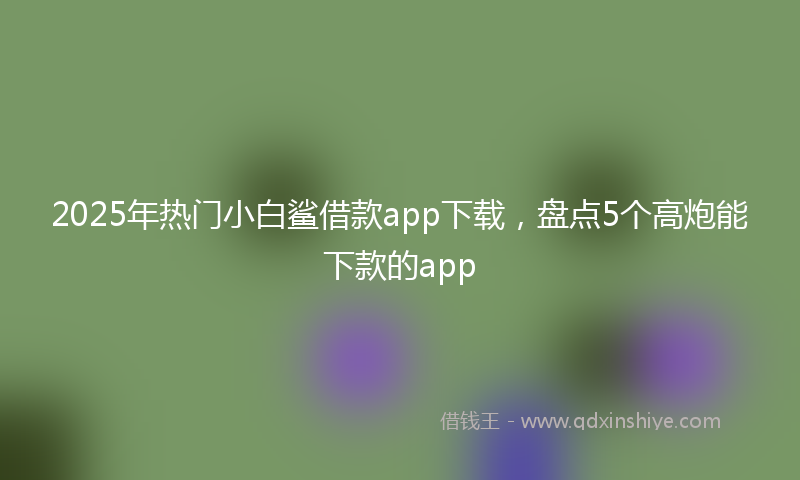 2025年热门小白鲨借款app下载，盘点5个高炮能下款的app