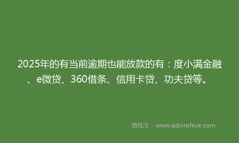 2025年的有当前逾期也能放款的有：度小满金融、e微贷、360借条、信用卡贷、功夫贷等。