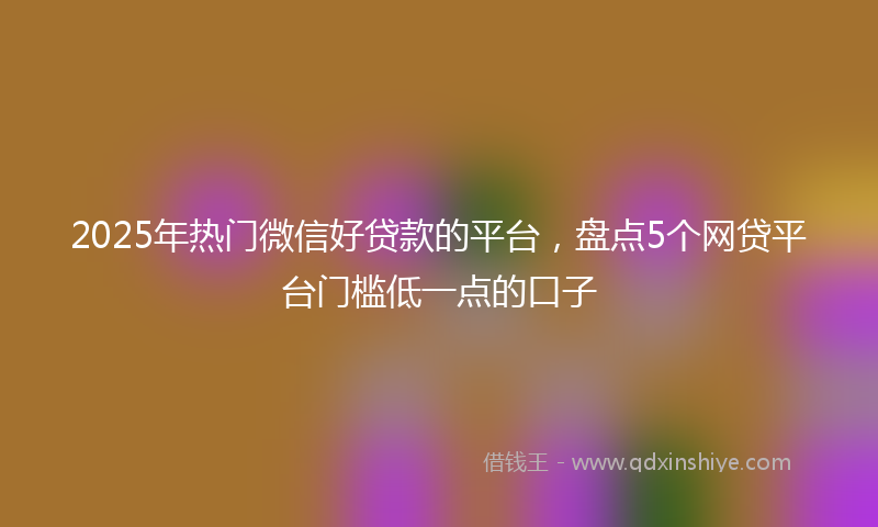 2025年热门微信好贷款的平台，盘点5个网贷平台门槛低一点的口子