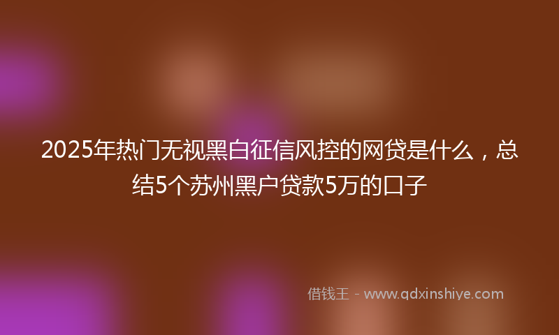 2025年热门无视黑白征信风控的网贷是什么，总结5个苏州黑户贷款5万的口子
