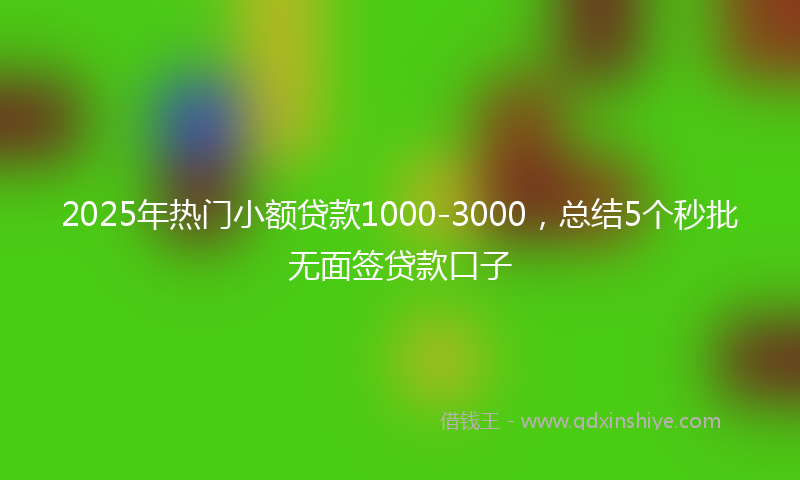 2025年热门小额贷款1000-3000，总结5个秒批无面签贷款口子