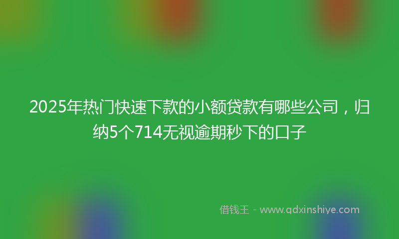 2025年热门快速下款的小额贷款有哪些公司，归纳5个714无视逾期秒下的口子