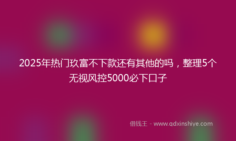 2025年热门玖富不下款还有其他的吗，整理5个无视风控5000必下口子