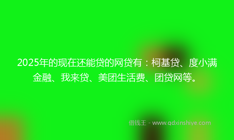 2025年的现在还能贷的网贷有：柯基贷、度小满金融、我来贷、美团生活费、团贷网等。
