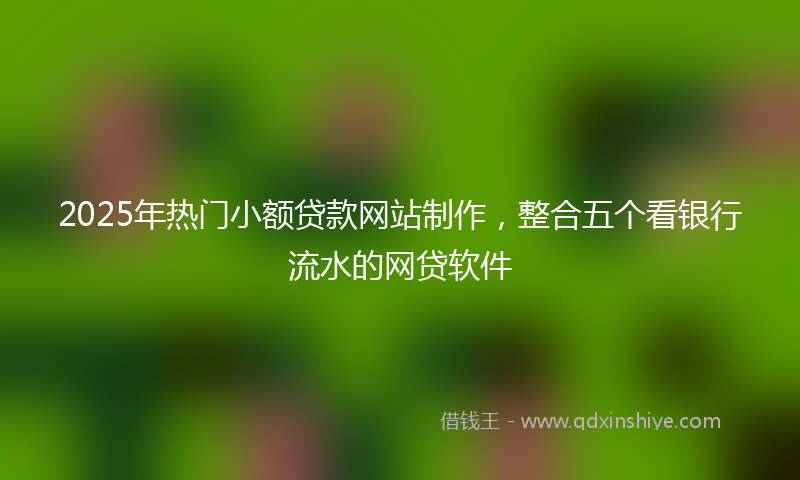 2025年热门小额贷款网站制作，整合五个看银行流水的网贷软件