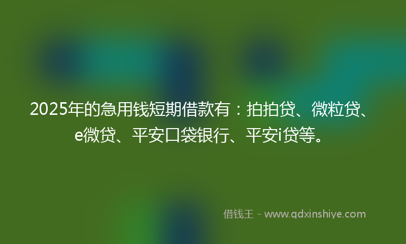 2025年的急用钱短期借款有：拍拍贷、微粒贷、e微贷、平安口袋银行、平安i贷等。