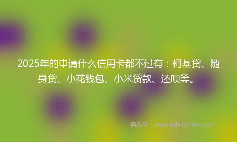 2025年的申请什么信用卡都不过有：柯基贷、随身贷、小花钱包、小米贷款、还呗等。