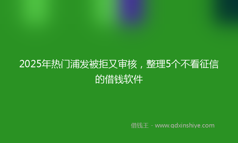 2025年热门浦发被拒又审核，整理5个不看征信的借钱软件