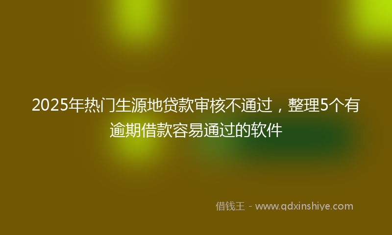2025年热门生源地贷款审核不通过，整理5个有逾期借款容易通过的软件