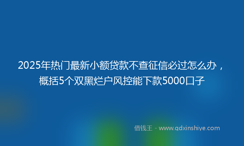 2025年热门最新小额贷款不查征信必过怎么办，概括5个双黑烂户风控能下款5000口子