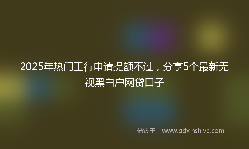 2025年热门工行申请提额不过，分享5个最新无视黑白户网贷口子