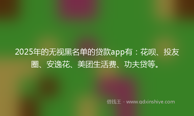 2025年的无视黑名单的贷款app有：花呗、投友圈、安逸花、美团生活费、功夫贷等。