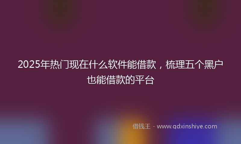2025年热门现在什么软件能借款，梳理五个黑户也能借款的平台