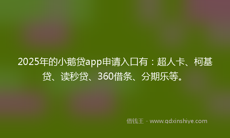 2025年的小鹅贷app申请入口有：超人卡、柯基贷、读秒贷、360借条、分期乐等。