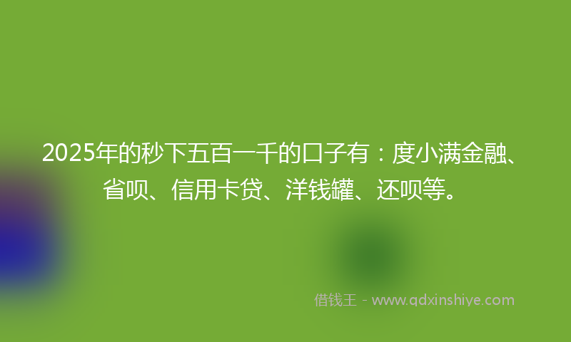 2025年的秒下五百一千的口子有：度小满金融、省呗、信用卡贷、洋钱罐、还呗等。