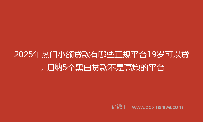 2025年热门小额贷款有哪些正规平台19岁可以贷，归纳5个黑白贷款不是高炮的平台