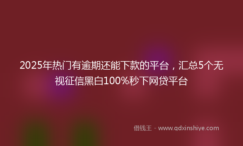 2025年热门有逾期还能下款的平台，汇总5个无视征信黑白100%秒下网贷平台