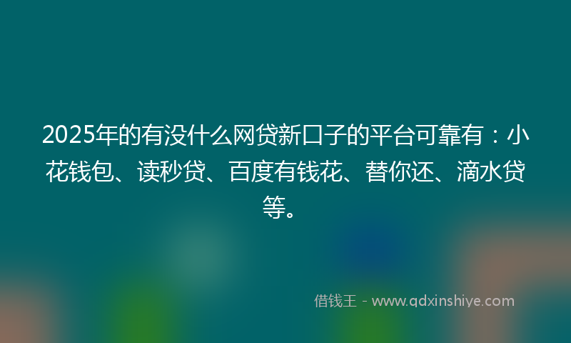 2025年的有没什么网贷新口子的平台可靠有：小花钱包、读秒贷、百度有钱花、替你还、滴水贷等。