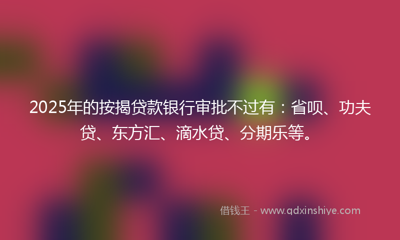 2025年的按揭贷款银行审批不过有：省呗、功夫贷、东方汇、滴水贷、分期乐等。