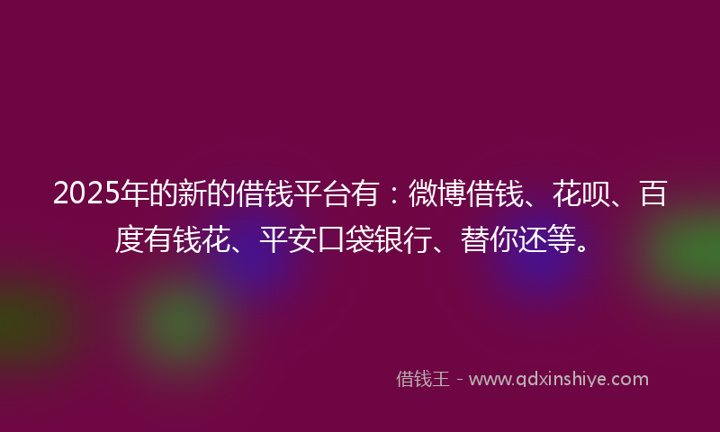 2025年的新的借钱平台有：微博借钱、花呗、百度有钱花、平安口袋银行、替你还等。