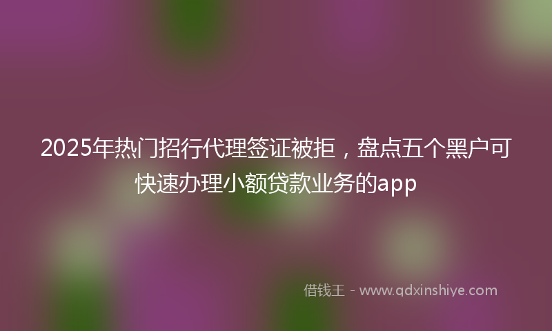2025年热门招行代理签证被拒，盘点五个黑户可快速办理小额贷款业务的app