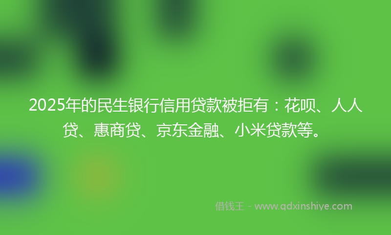 2025年的民生银行信用贷款被拒有：花呗、人人贷、惠商贷、京东金融、小米贷款等。