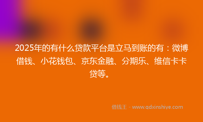 2025年的有什么贷款平台是立马到账的有：微博借钱、小花钱包、京东金融、分期乐、维信卡卡贷等。
