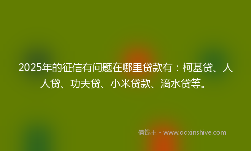 2025年的征信有问题在哪里贷款有：柯基贷、人人贷、功夫贷、小米贷款、滴水贷等。