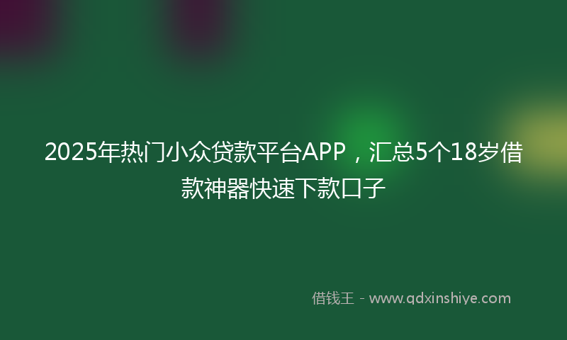 2025年热门小众贷款平台APP，汇总5个18岁借款神器快速下款口子
