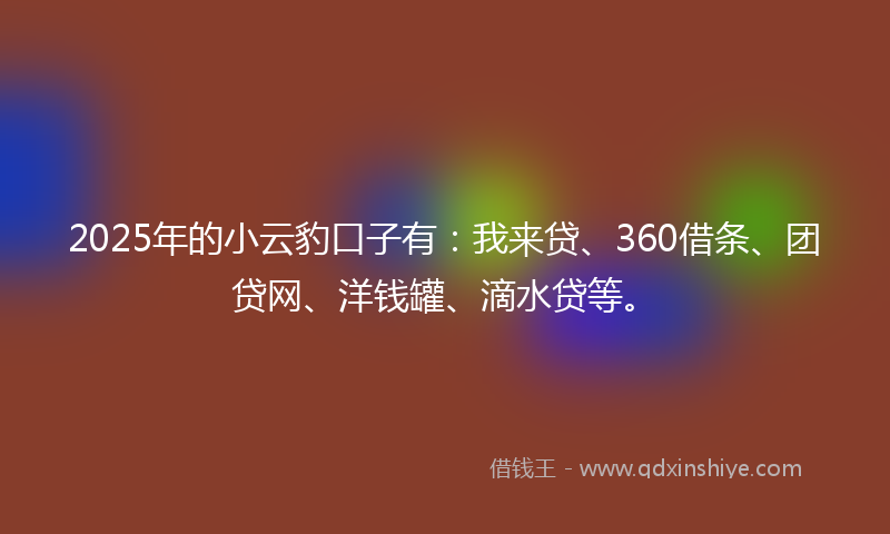 2025年的小云豹口子有：我来贷、360借条、团贷网、洋钱罐、滴水贷等。