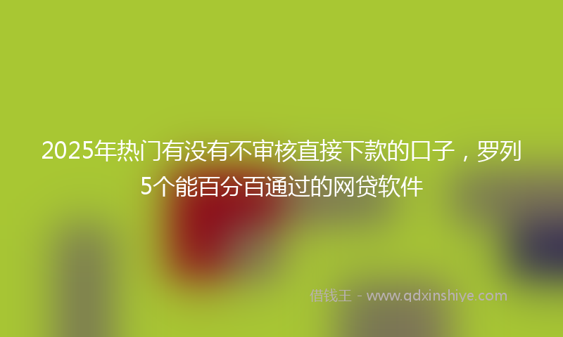 2025年热门有没有不审核直接下款的口子，罗列5个能百分百通过的网贷软件