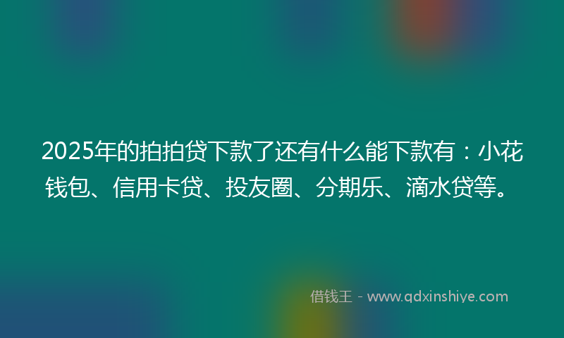 2025年的拍拍贷下款了还有什么能下款有：小花钱包、信用卡贷、投友圈、分期乐、滴水贷等。