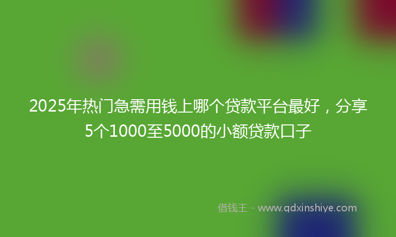 2025年热门急需用钱上哪个贷款平台最好，分享5个1000至5000的小额贷款口子