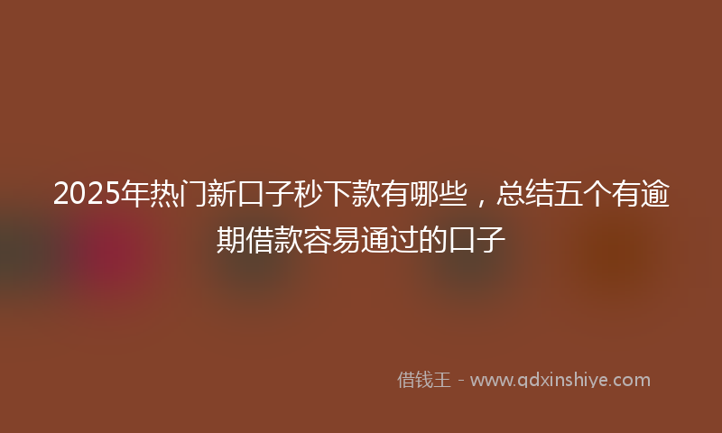 2025年热门新口子秒下款有哪些，总结五个有逾期借款容易通过的口子