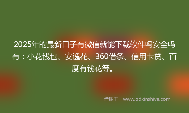 2025年的最新口子有微信就能下载软件吗安全吗有：小花钱包、安逸花、360借条、信用卡贷、百度有钱花等。