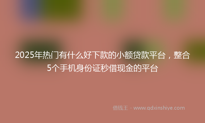 2025年热门有什么好下款的小额贷款平台，整合5个手机身份证秒借现金的平台