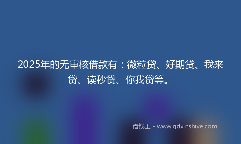 2025年的无审核借款有：微粒贷、好期贷、我来贷、读秒贷、你我贷等。