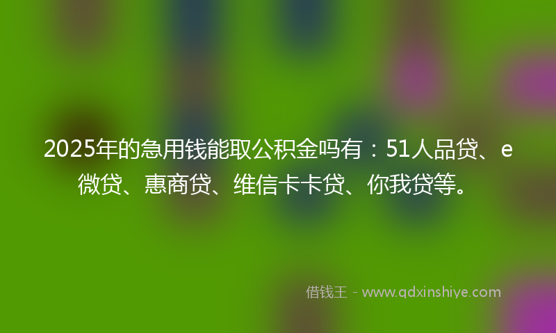 2025年的急用钱能取公积金吗有:51人品贷、e微贷、惠商贷、维信卡卡贷、你我贷等。