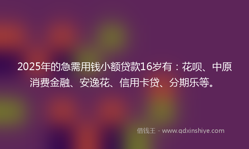 2025年的急需用钱小额贷款16岁有：花呗、中原消费金融、安逸花、信用卡贷、分期乐等。