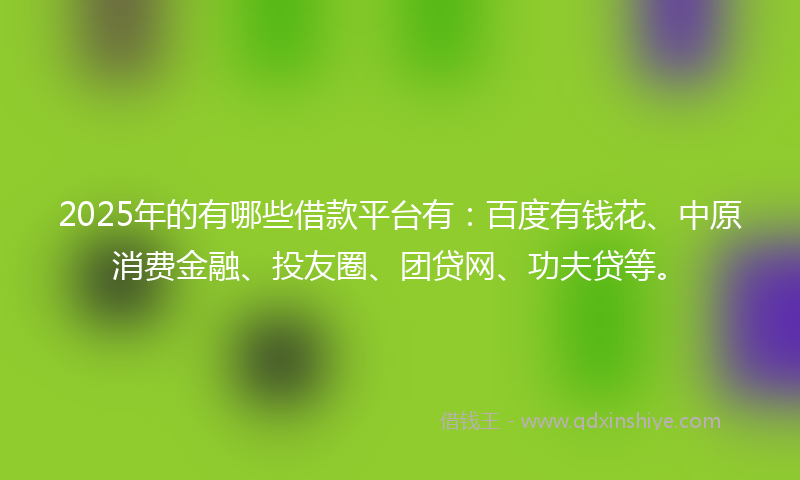 2025年的有哪些借款平台有：百度有钱花、中原消费金融、投友圈、团贷网、功夫贷等。